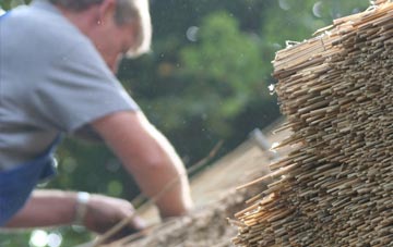 professional Bachau thatchers