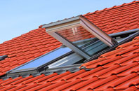 Bachau roof window
